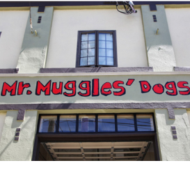 dog-walking